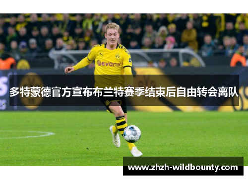 多特蒙德官方宣布布兰特赛季结束后自由转会离队 多特蒙德官方宣布布兰特赛季结束后自由转会离队