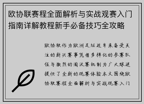 欧协联赛程全面解析与实战观赛入门指南详解教程新手必备技巧全攻略
